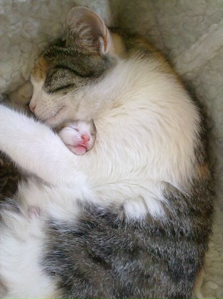 №19, Юра Ковальчук, Castellammare di Stabia №19, Юра Ковальчук, Castellammare di Stabia