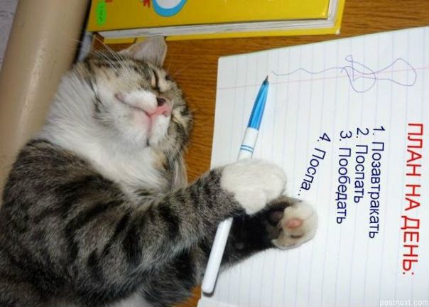 №19, Надежда Гасанова, Баку №19, Надежда Гасанова, Баку