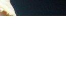 №138, Ира Драган, Одесса №138, Ира Драган, Одесса