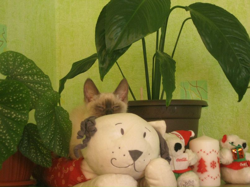 Наташа Загребина | Ижевск