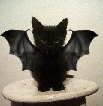 Ольга Слепова | Тюмень