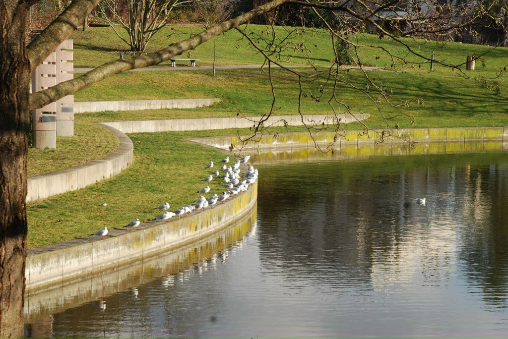 Таня Сікорська | Львов