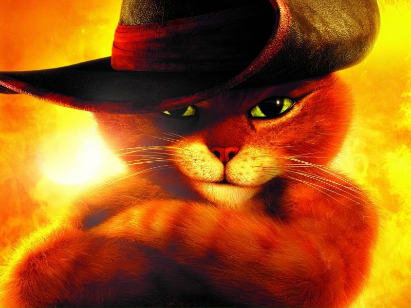 №65, Женька Тарасенко №65, Женька Тарасенко