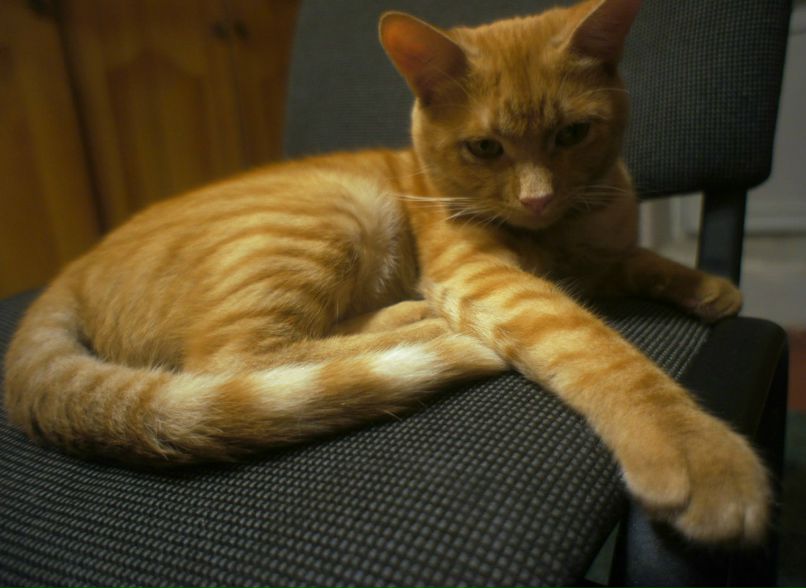 Александр Межерицкий Константинович | Харьков