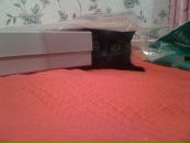№27 Луиза Мухаметова 09.07.1988: профиль, фото, статус - ВКонтакте