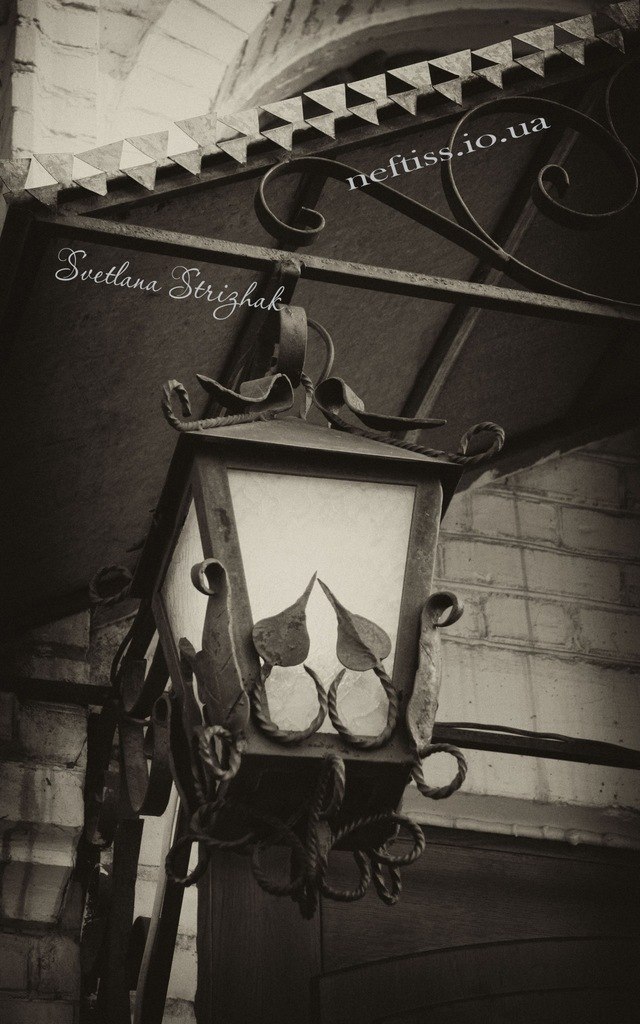 Светлана Бабак | Киев