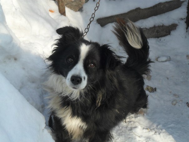 №36, Раиса Таран, 64 года, Pordenone №36, Раиса Таран, 64 года, Pordenone