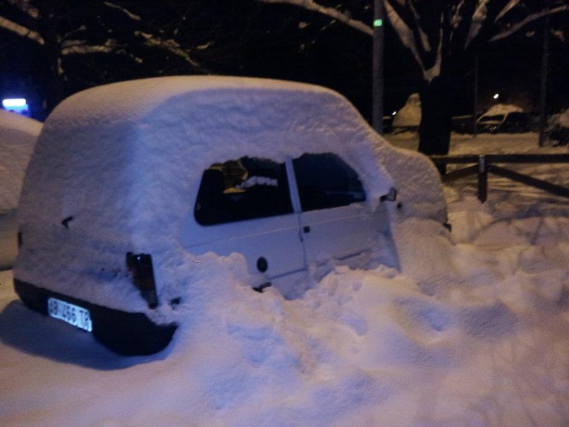 Valik Asevschi | Bologna