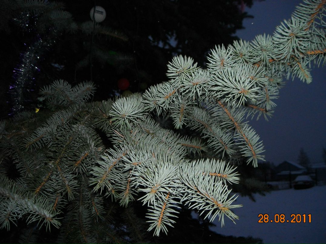 Наталья Скуратова | Вологда