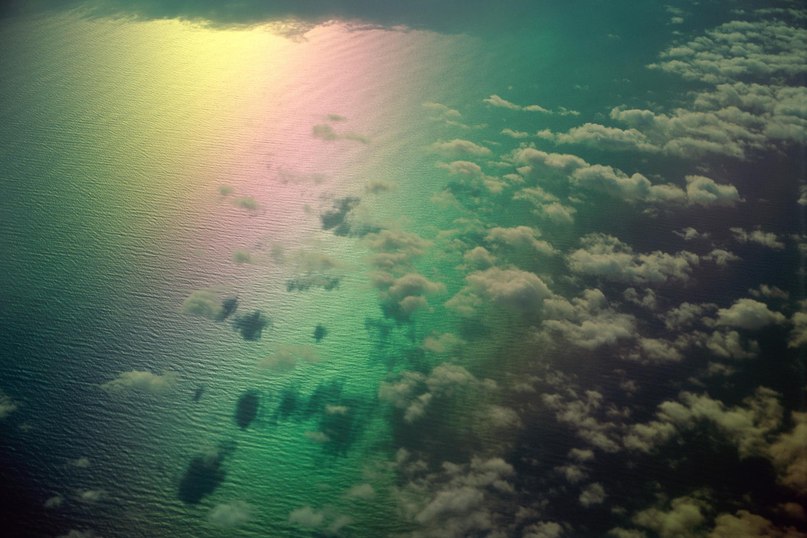 Назар Шевченко | Житомир