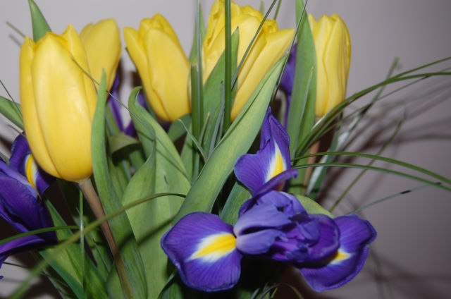 Мария Кива | Сергиев Посад