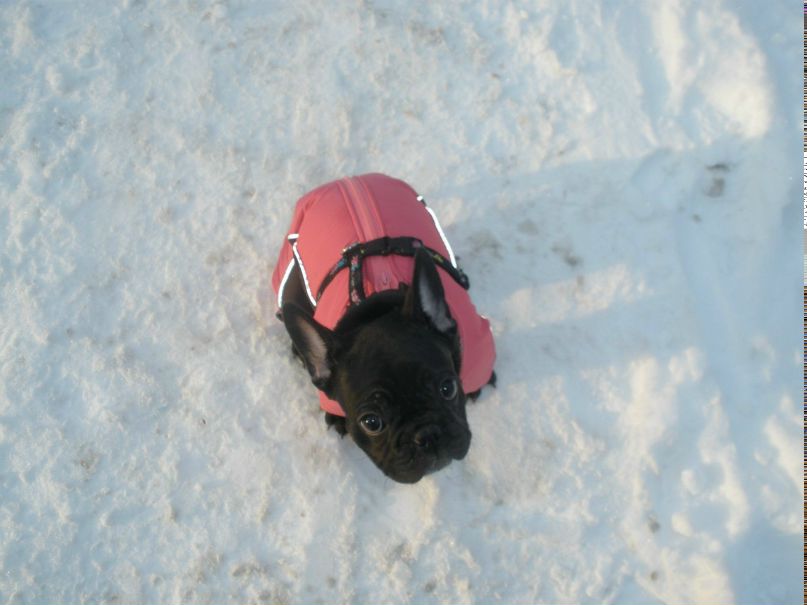 Елена Шаповалова | Москва