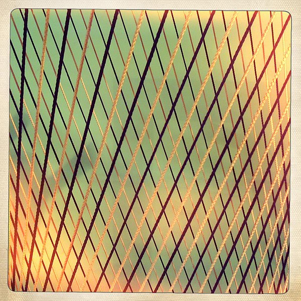 Елена Савенкова | Екатеринбург