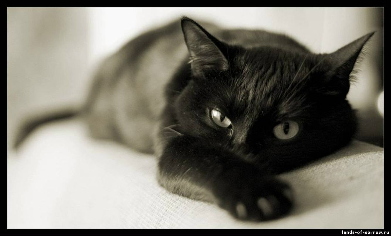 Алия Вожегова | Чайковский