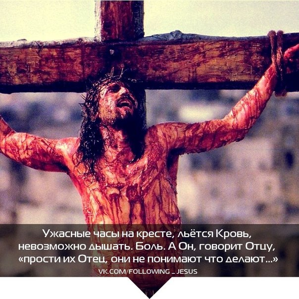 Константин Агошков | Кемерово