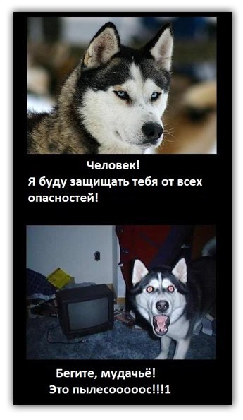 Роман Володин | Иркутск