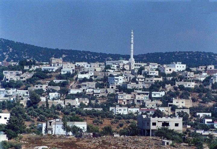 Мухаммад Мегдади Meg^*^ | Irbid