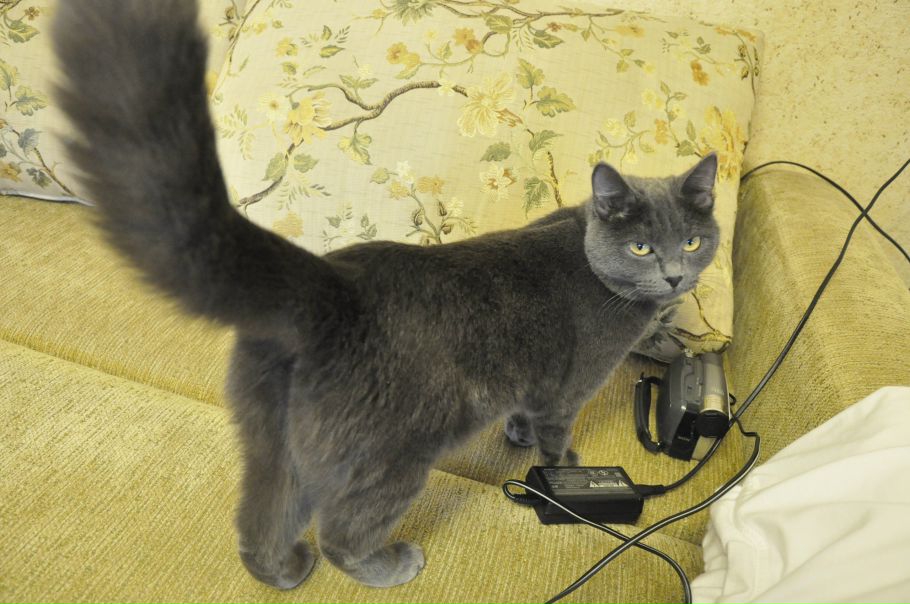 №11, Мария Некрасова №11, Мария Некрасова