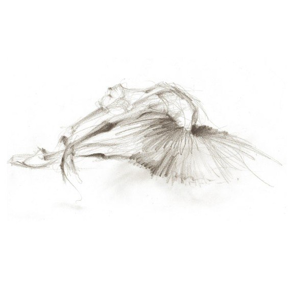 Елена Скворцова | Саратов