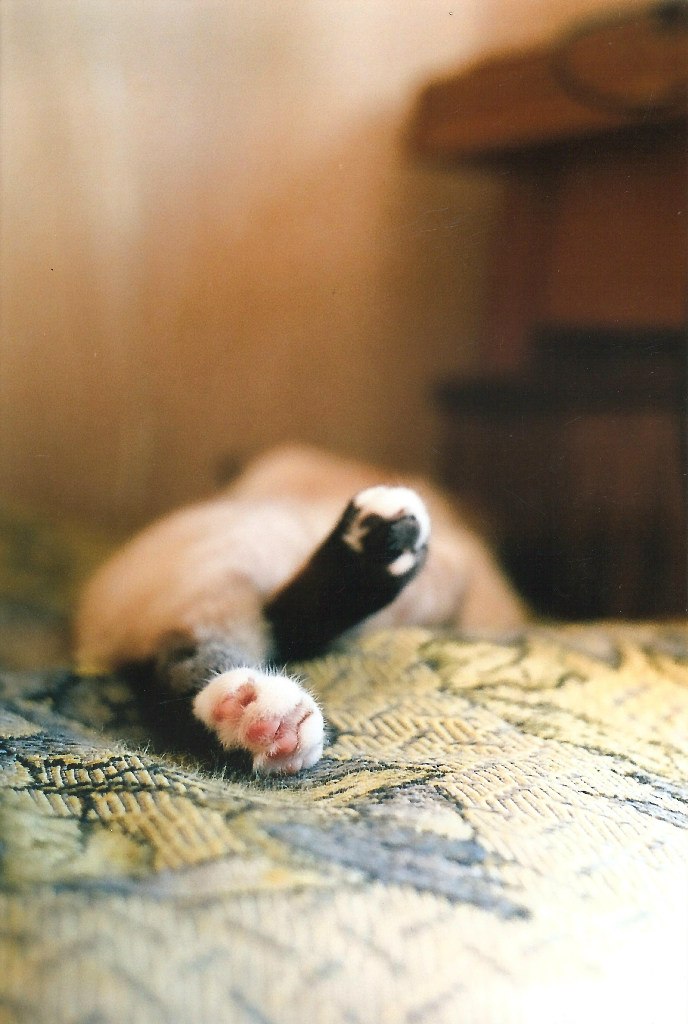 Катерина Редковолос | Санкт-Петербург