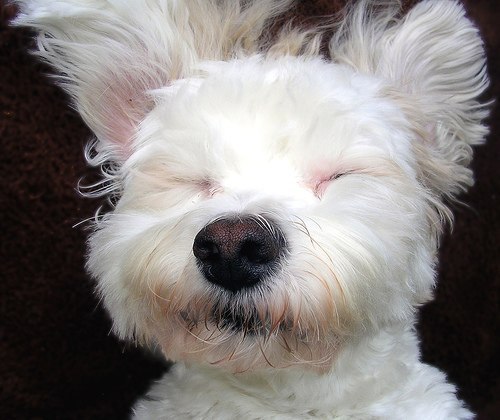 Анна Кузнецова | Москва