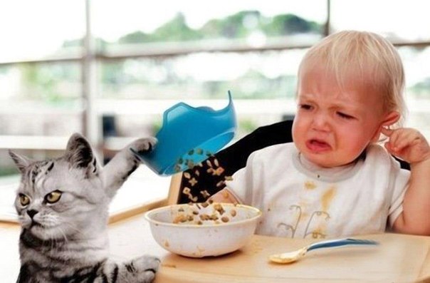 №4, Ирина Хоченкова №4, Ирина Хоченкова