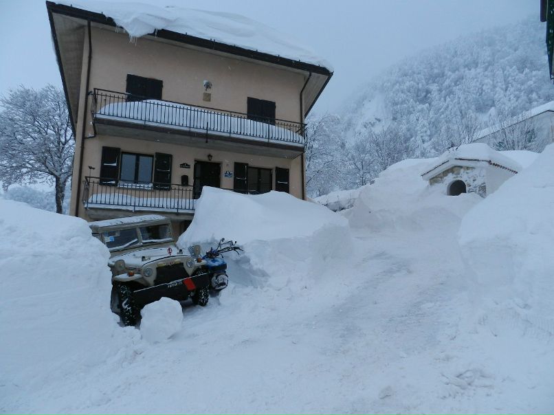 Ирина Альгина | 