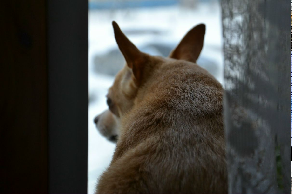 Ольга Широкова | Балашиха