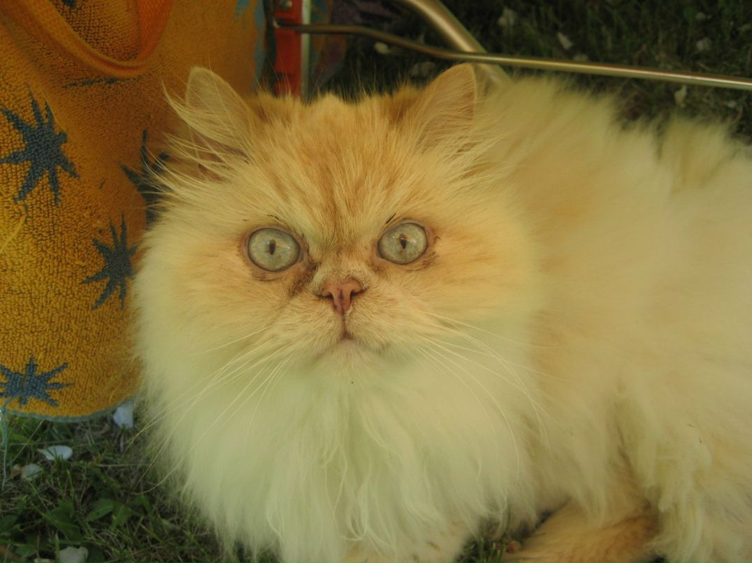 Юрий Блинников | Рига