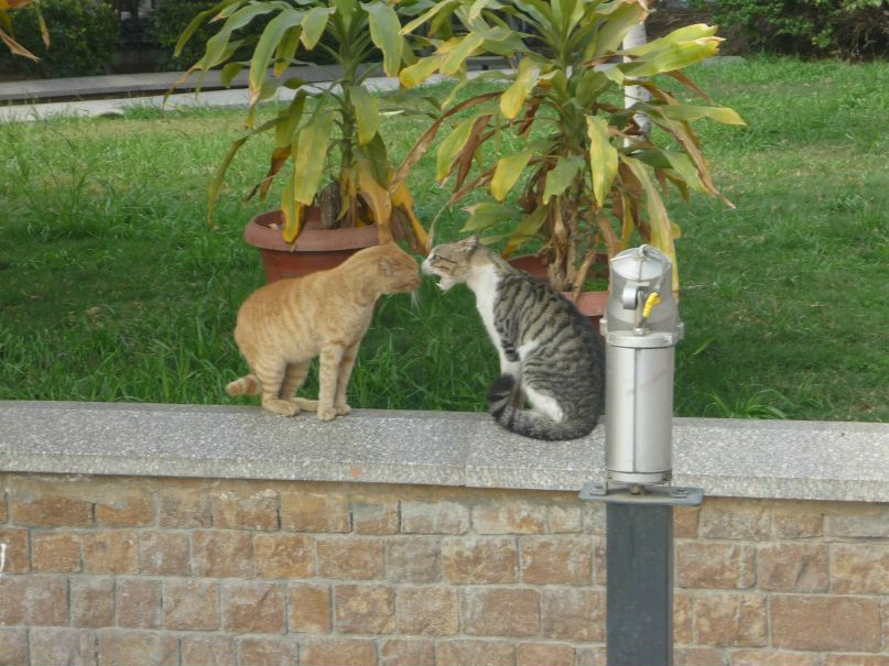 Александр Халдеев | Нижний Тагил