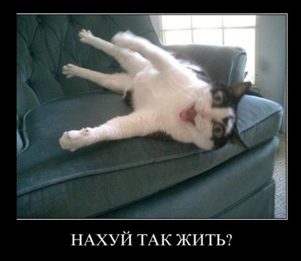 Сергей Липин 