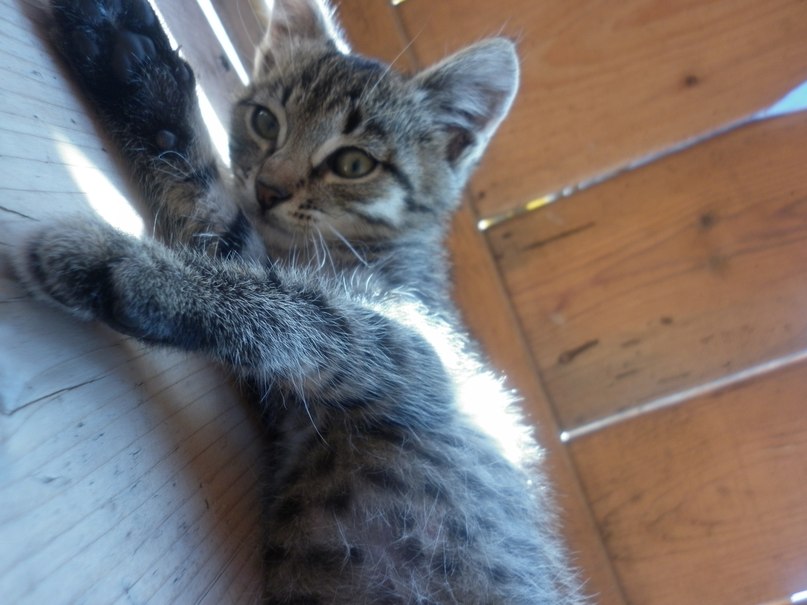 Рустам Марданов | Янаул