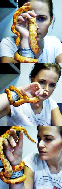 №147, Юлия-Юрьевна Царёва, Москва №147, Юлия-Юрьевна Царёва, Москва