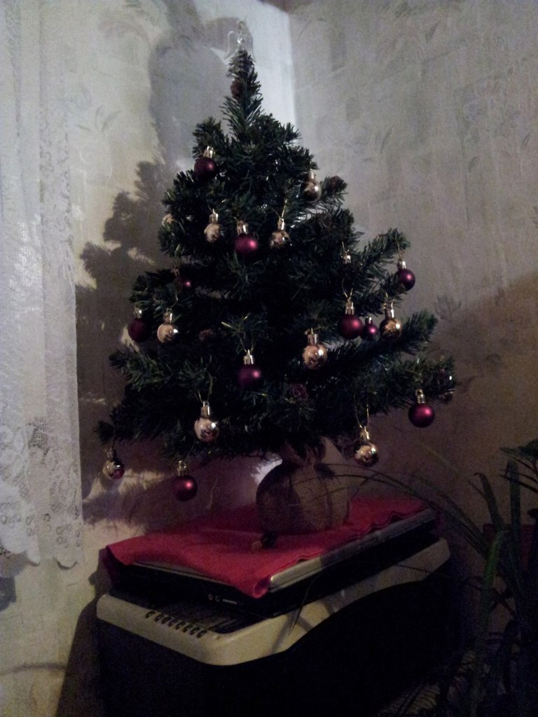 Елизавета Султанова | Москва