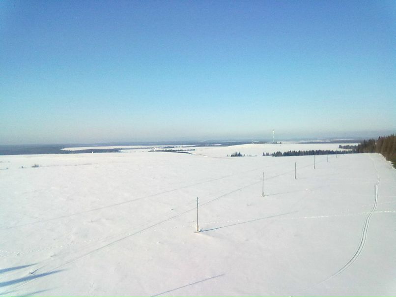 Роман Романов | Новая Бия