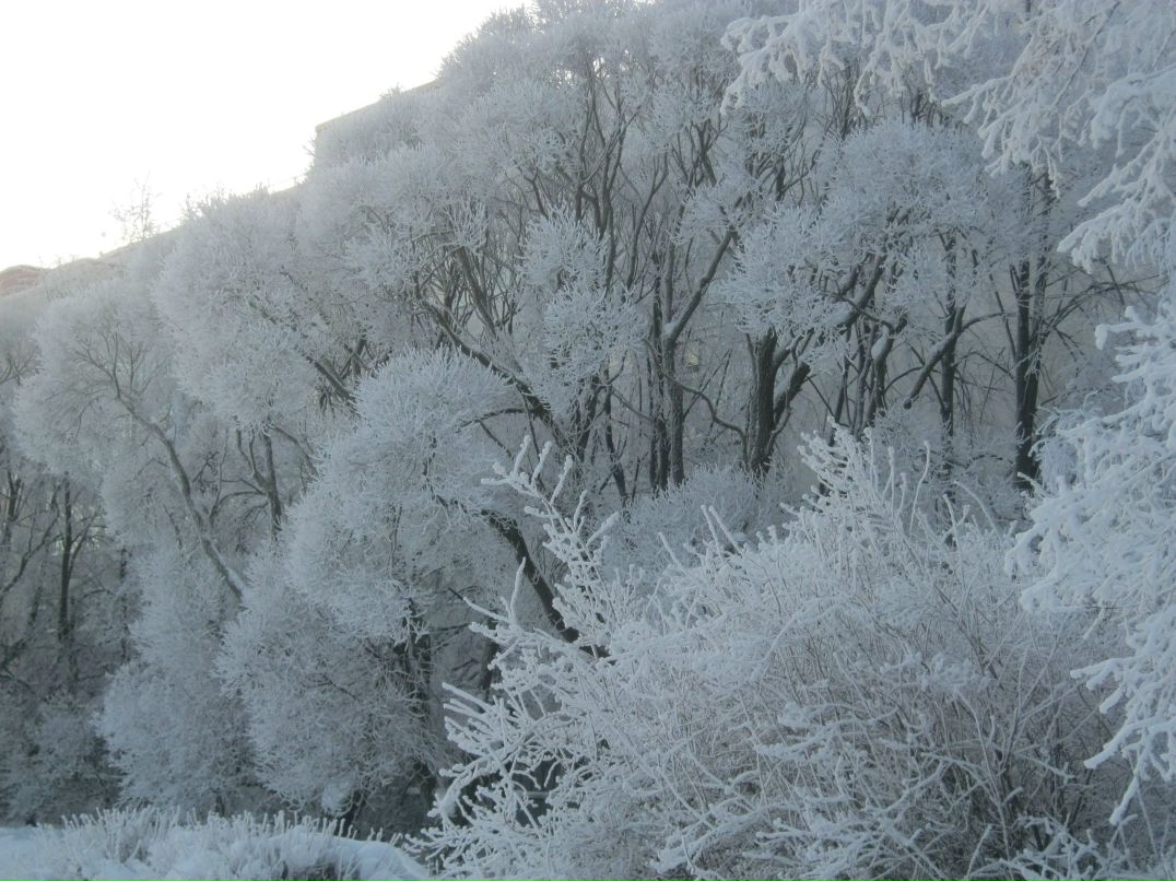 Екатерина Устинова | Санкт-Петербург