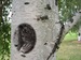 Катя Ончарова фотография #12 (источник - https://vk.com/id137477171)