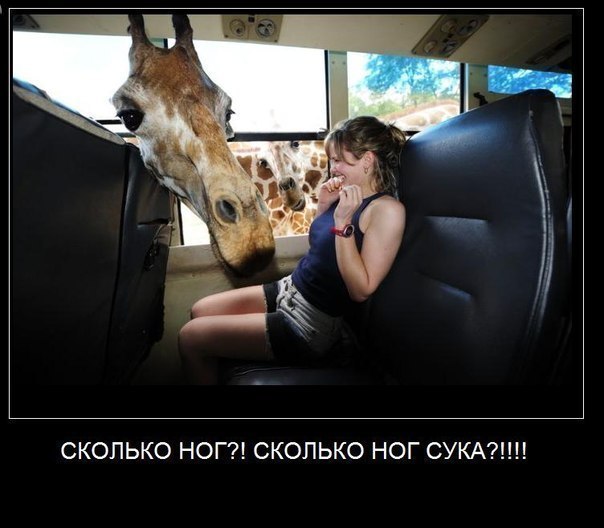 Илья Доктор | Киев