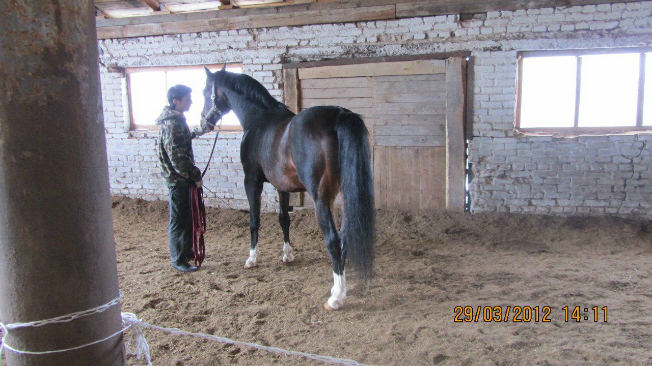 Лариса Юденкова | Санкт-Петербург