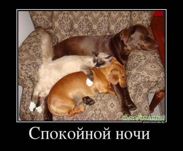 Анна Шустак | 