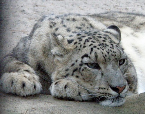 Виктор Викторович | Самара