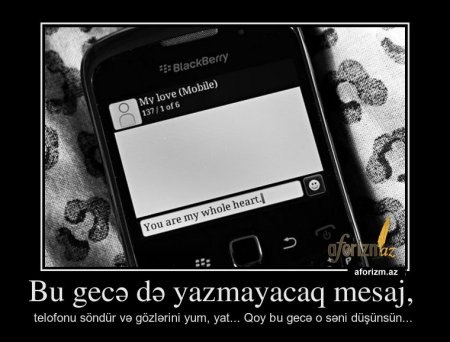 №81, Senan Aliyev, Шамкир №81, Senan Aliyev, Шамкир