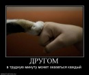№6 Александр Куриленков