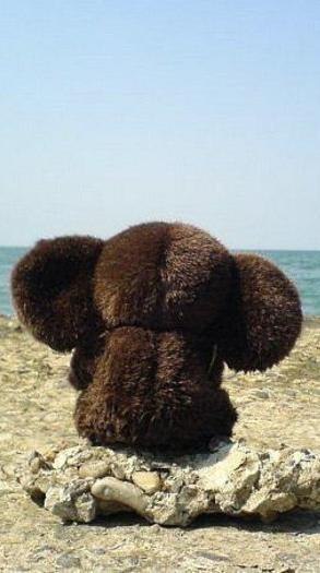 Паша Крускин | Красноярск