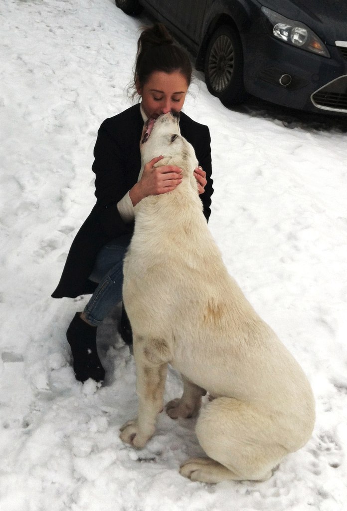 Алёна Дедикова | 