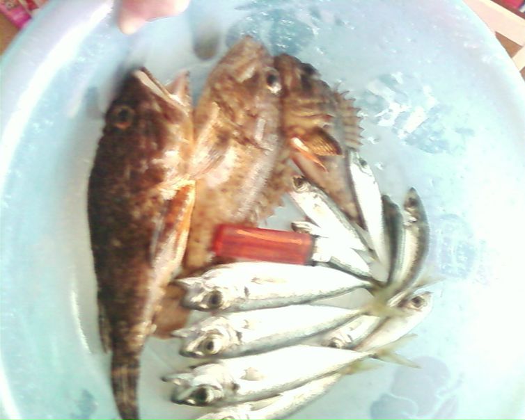 №23, Алексей Воронин, Севастополь №23, Алексей Воронин, Севастополь