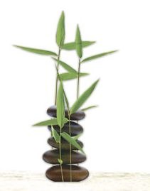 Андрей Андреев | Краснодар