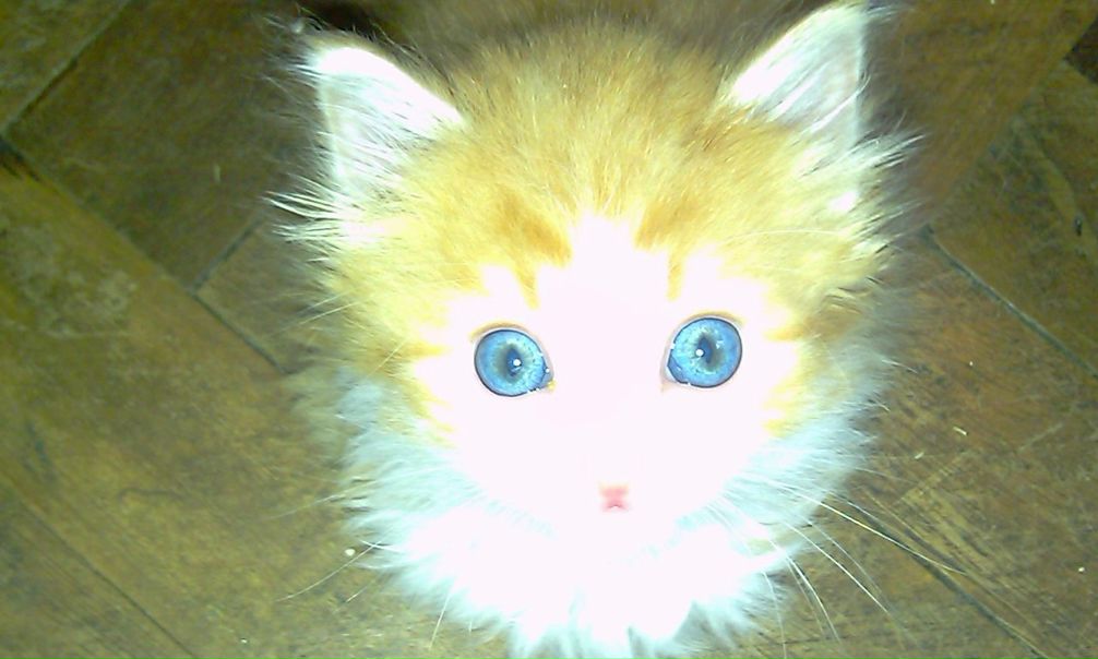 №140, Ирина Егорова, Санкт-Петербург №140, Ирина Егорова, Санкт-Петербург