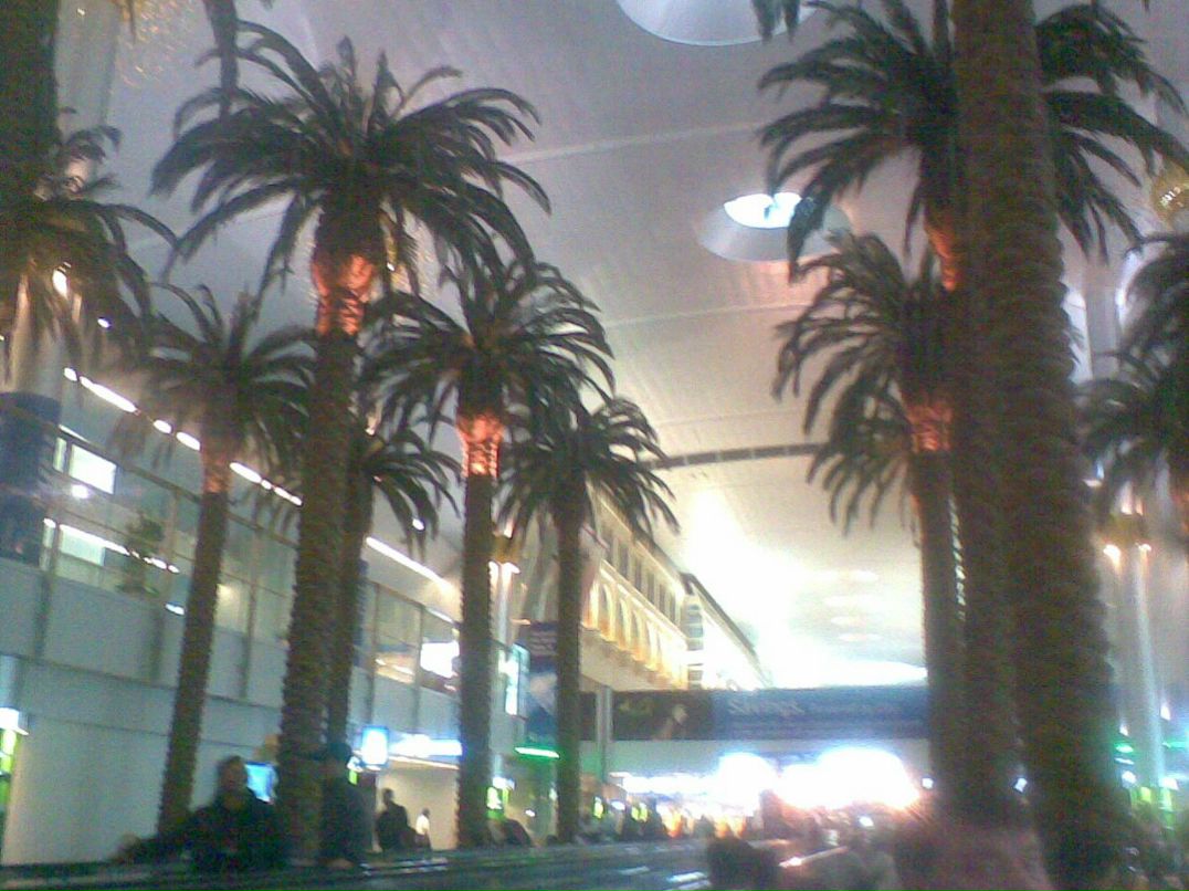 Елена Кузнецова | Новодвинск