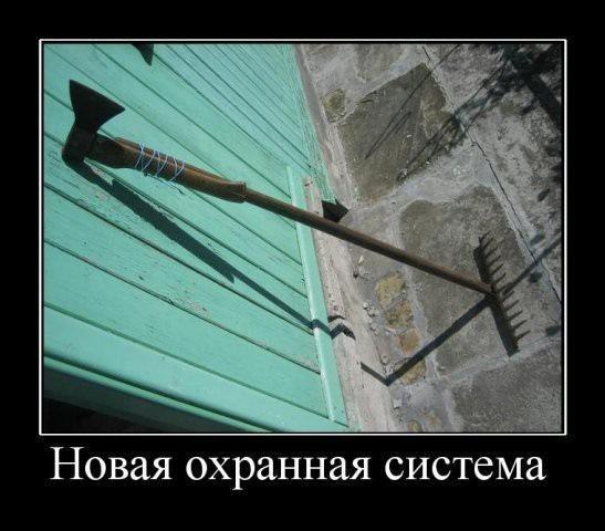 Евгений Шкутов одуванчик пля | 